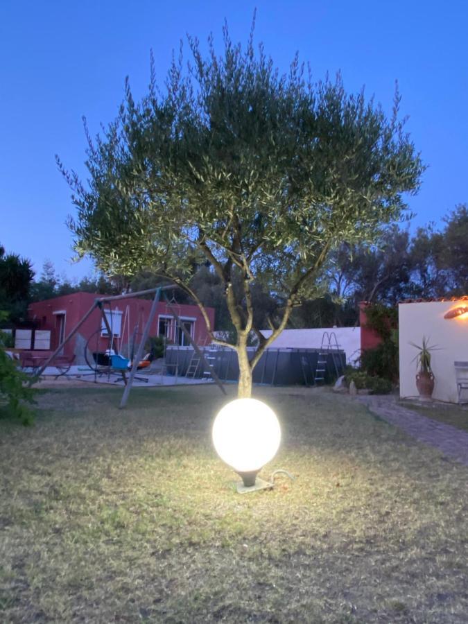 Bed and Breakfast Casa di Floumy Calvi  Esterno foto